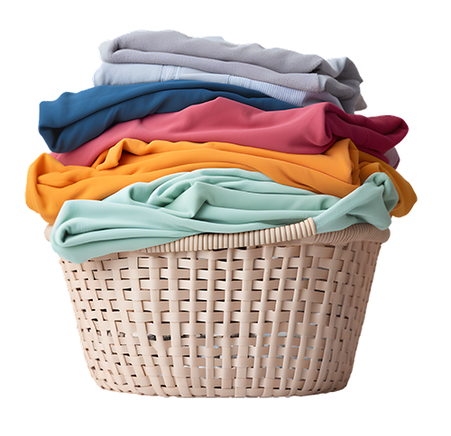 https://acaringcompanion.org/wp-content/uploads/2023/12/laundry.png